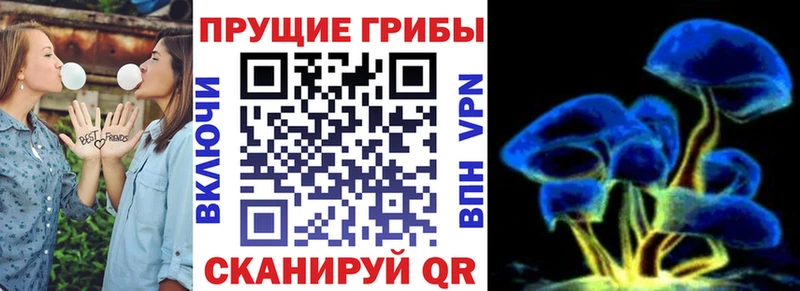цена   Калининец  гидра онион  Галлюциногенные грибы Psilocybine cubensis 