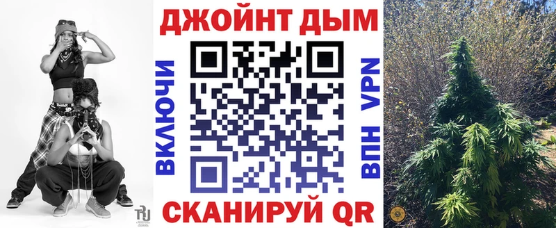 Бошки марихуана сатива  Калининец 